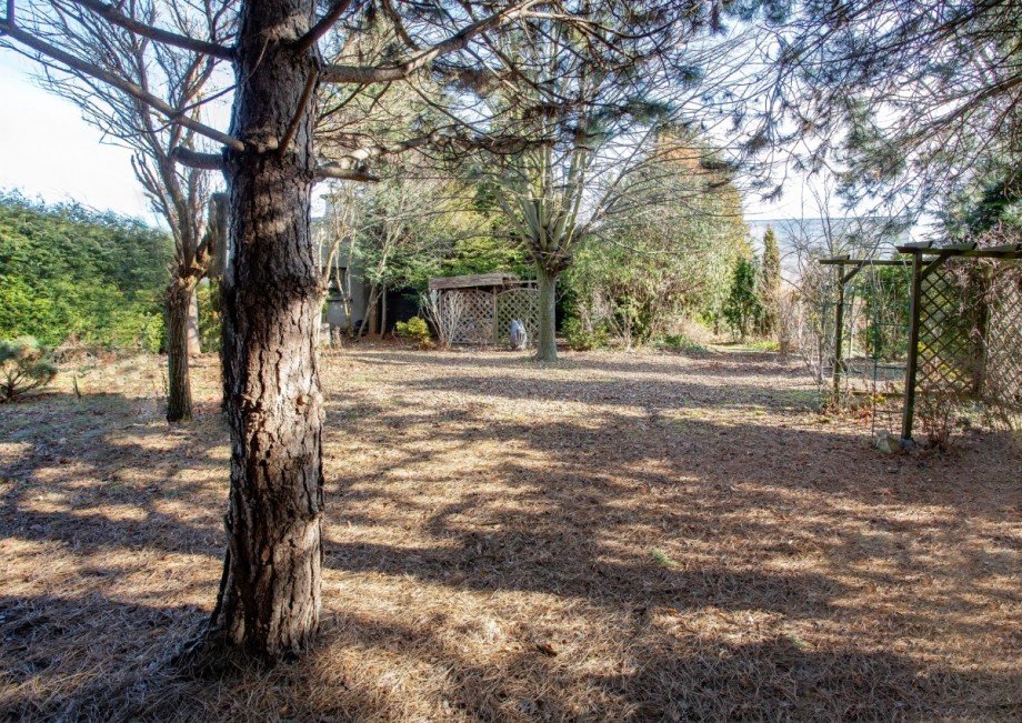 Blick in den Garten Mehrfamilienhaus Limbach-Oberfrohna