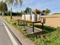 Bild (ce6866b45ff270e041c668b923fea3df): Historisches Fachwerkhaus in herrlich ruhiger Lage. Viel Charakter und Raum f�r eigene Ideen!